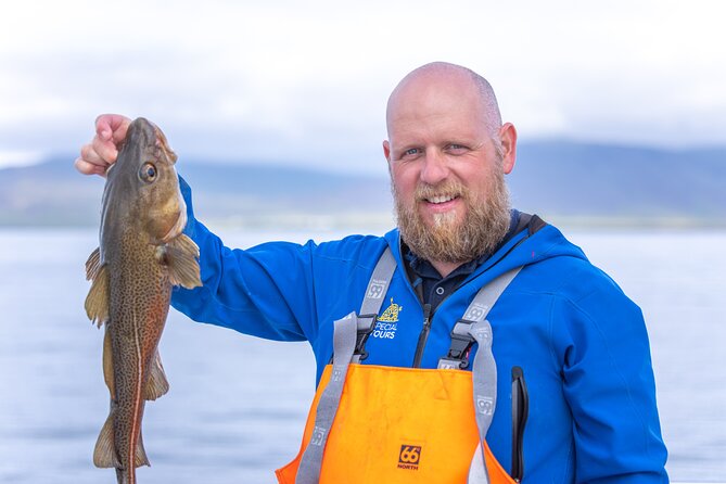 Sea Fishing Experience from Reykjavik - Meeting at Geirsgata 11: where the trip actually starts