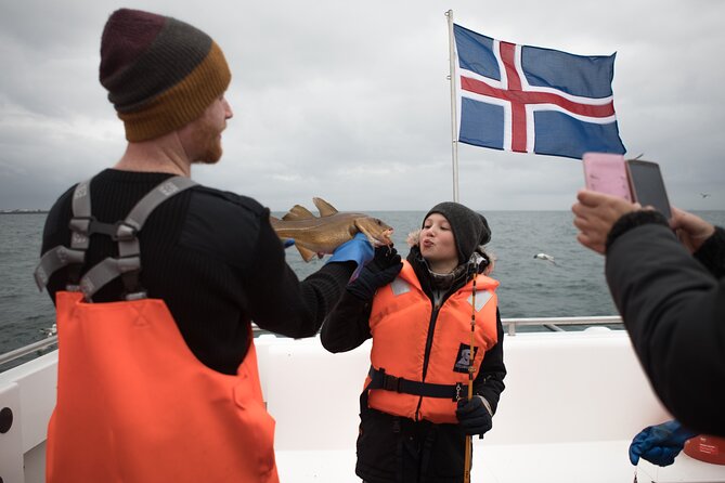 Sea Fishing Experience from Reykjavik - Summer bonus: Akurey and Lundey for seabirds and puffins