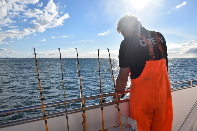 Sea Fishing Experience from Reykjavik - Who this trip is perfect for (and who should think twice)