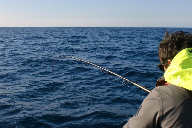 Sesimbra: All-inclusive Sport Fishing Tour - What You Can Catch Here (Species Change by Season)