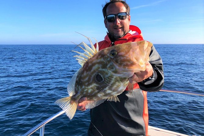 Sesimbra: All-inclusive Sport Fishing Tour - When the Fishing Slows: Arrábida Turns the Day Around
