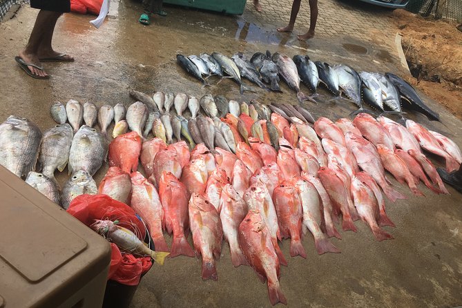 Seychelles Fishing - Key highlights to know before you go