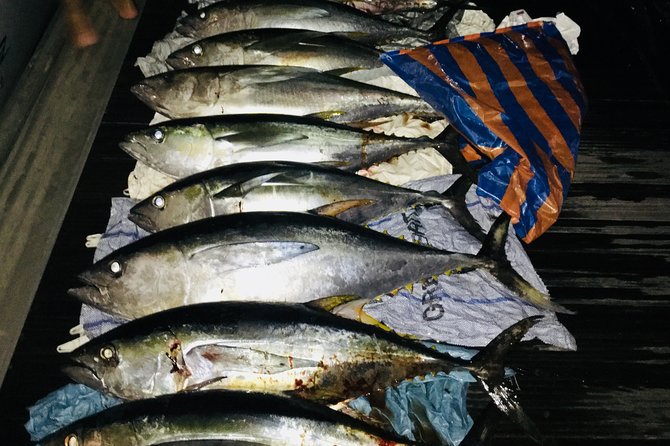 Seychelles Fishing - Gear, bait, and the simplicity that saves your vacation