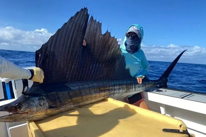 Seychelles Fishing - Lunch, non-alcoholic drinks, and a break that actually helps