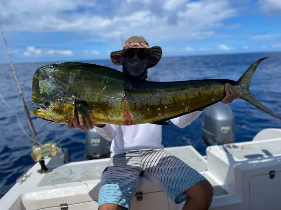 Seychelles: Guided Fishing Trip with Pickup and Equipment - Grand’Anse Mahé: why this area works for big-game fishing