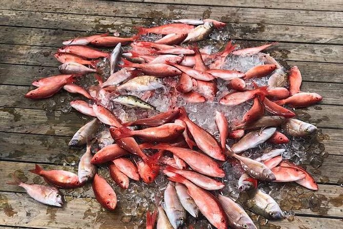 Shared Deep Sea Fishing Trip from Destin - Key highlights you should know before you go