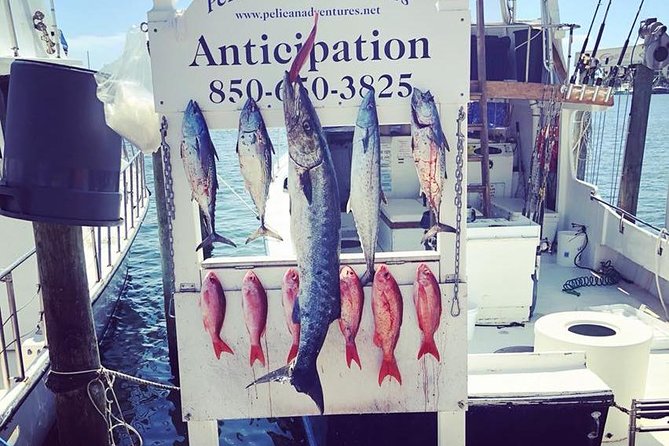 Shared Deep Sea Fishing Trip from Destin - Pelican Adventures in Destin: the shared charter sweet spot