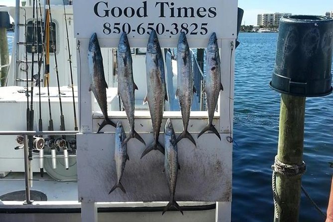 Shared Deep Sea Fishing Trip from Destin - Checking in at 580 Harbor Blvd and what happens next