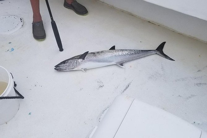 Shared Deep Sea Fishing Trip from Destin - Pelican Adventures and the single big focus of the day