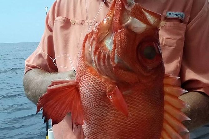 Shared Deep Sea Fishing Trip from Destin - What to bring (and what to know before you arrive)