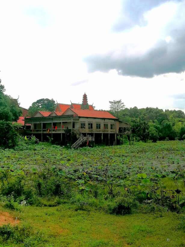 Siem Reap: Fishing in the rice fields, in the villages of Siem Reap - Rice-field fishing with Khmer village life: the real appeal