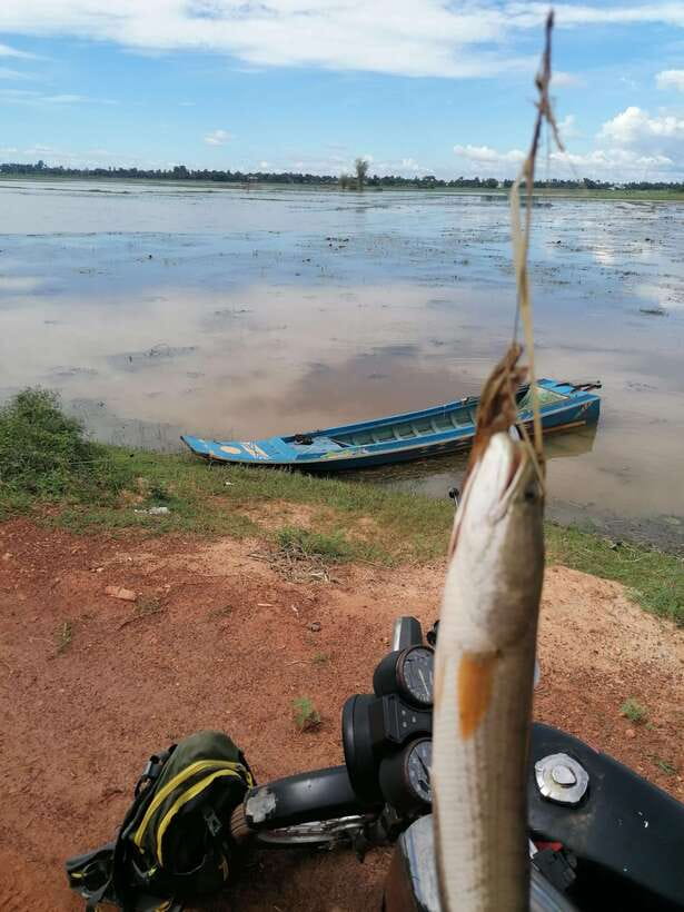 Siem Reap: Fishing in the rice fields, in the villages of Siem Reap - Fishing with locals: you’re not alone in the fields