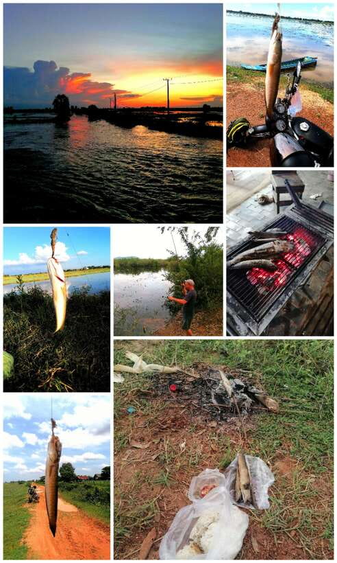 Siem Reap: Fishing in the rice fields, in the villages of Siem Reap - Afternoon fishing: new spots, changing conditions