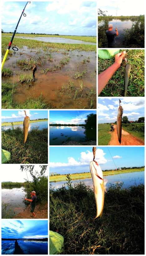 Siem Reap: Fishing in the rice fields, in the villages of Siem Reap - The morning ride: 20–30 km out, before the crowds notice