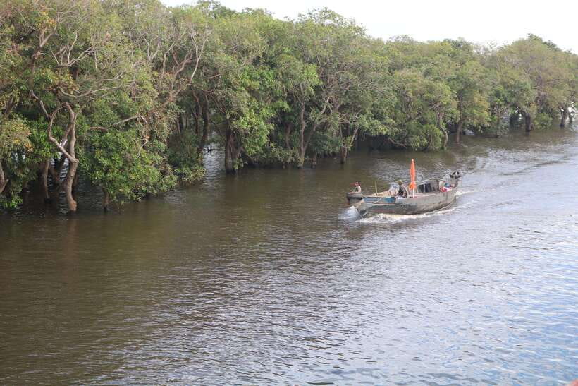 Siem Reap: Tonle Sap Lake - Fishing Village & Flooded Forest - Kampong Phluk: stilt houses and flooded forest canals