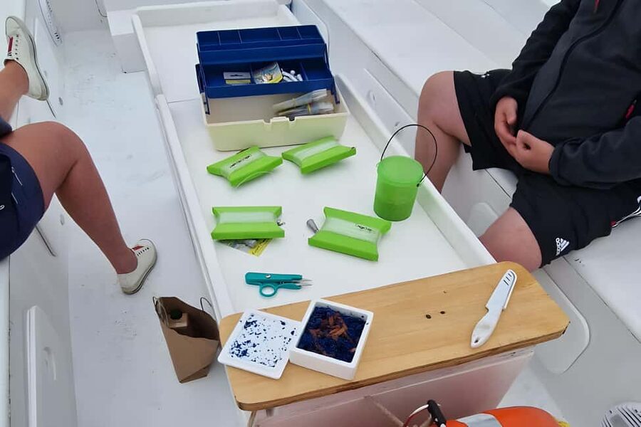Siracusa: Ortigia +sea caves +fishing experience - What Your $82 Covers: Value Check for Fishing Equipment, Fuel, and the Swim Stop