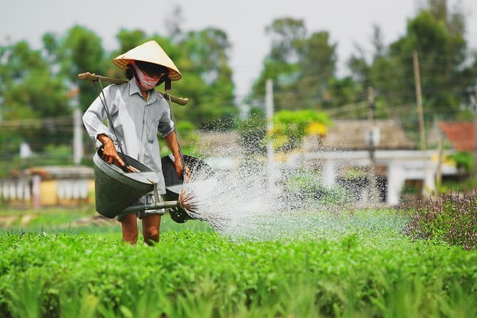 Small Group Bicycle Tour with Farming and Fishing Experience - Price and value: why $31 feels fair here