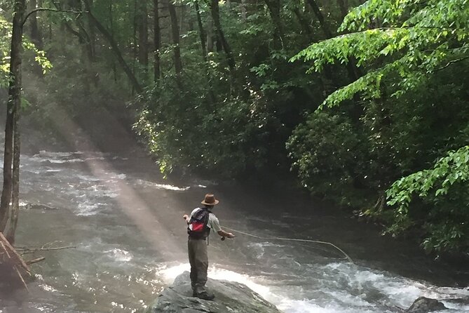 Smoky Mountains National Park Half Day Fly Fishing - Key highlights before you go