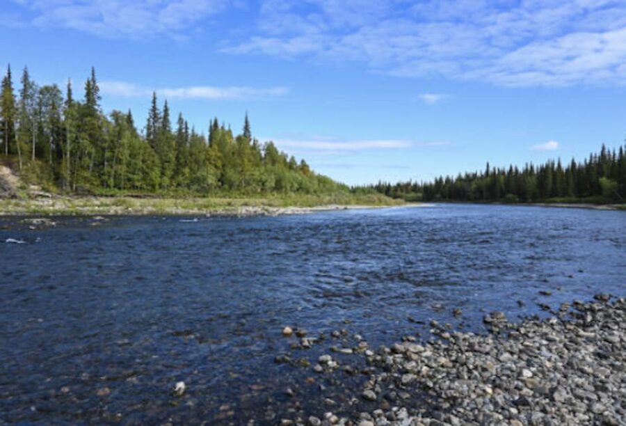 Snake River Full–Day Group Fishing Trip - Where This Fishing Day Happens: The Snake River Runs Near Jackson