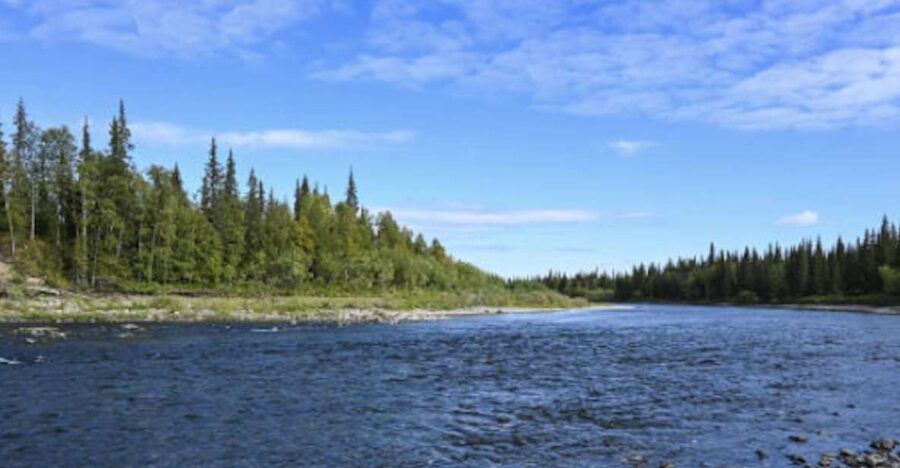 Snake River Full–Day Group Fishing Trip - What You’re Actually Targeting: Fine Spotted Cutthroat Trout