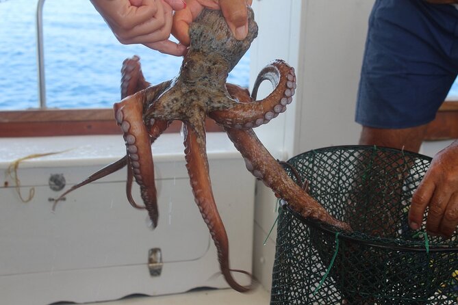 Snorkeling and Diving in the Gulf of Tavolara with Fishing - Tavolara’s Coves: Where the Snorkel Time Actually Feels Good