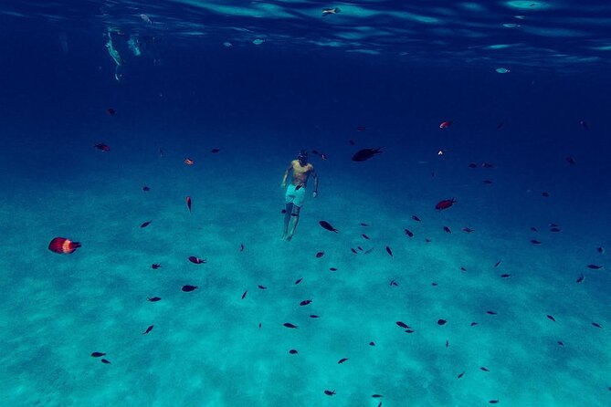 Snorkeling and Diving in the Gulf of Tavolara with Fishing - The Route Along the Coast: Olbia and More as Scenic Switchbacks