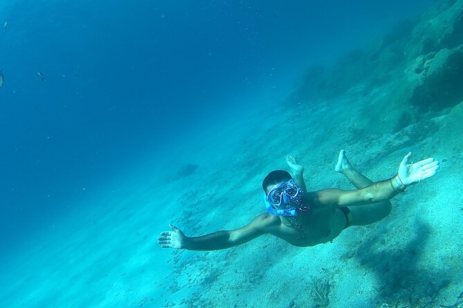 Snorkeling and Diving in the Gulf of Tavolara with Fishing - Lunch on Board: Fresh Catch Seafood and a Vegetarian Plan