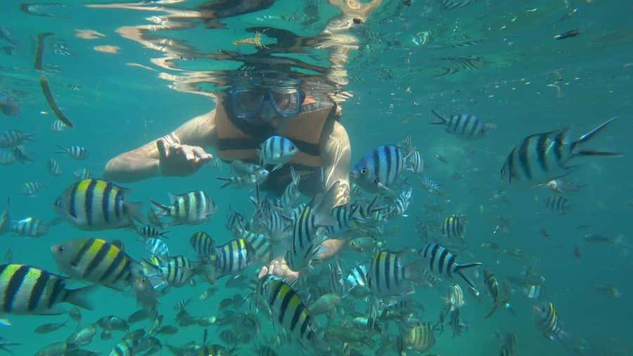 Snorkeling Kayaking Fishing Swimming Activities - Bintan Sea Day: Snorkeling, Kayaking, Fishing in One 8-Hour Loop