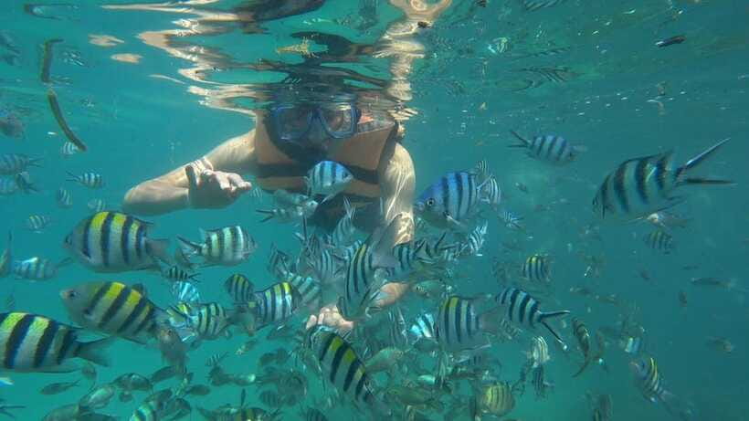 Snorkeling Kayaking Fishing Swimming Activities - What’s Included vs. What You Pay for Extra (So It’s Actually Good Value)
