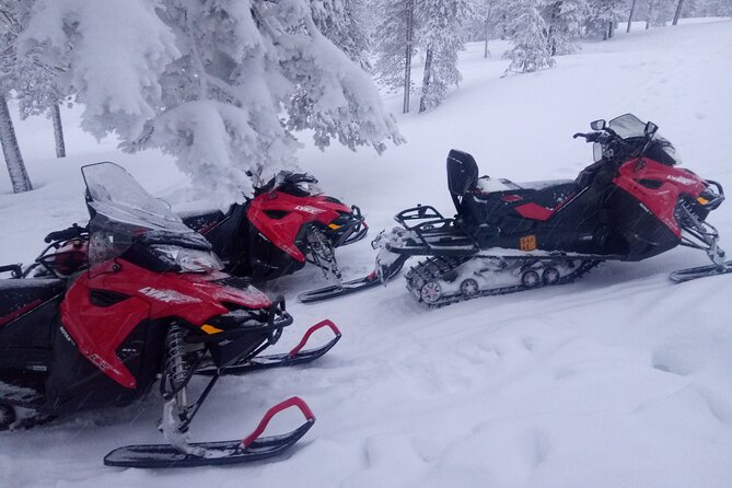 Snowmobile and Ice Fishing Excursion (private tour) - Ice fishing on a frozen lake: lesson first, results later