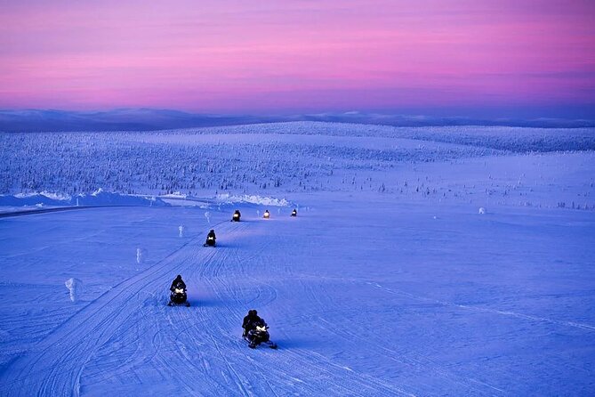 Snowmobile and Ice Fishing Experience - Warm Up at the Bonfire: Arctic Fish BBQ and Hot Drinks
