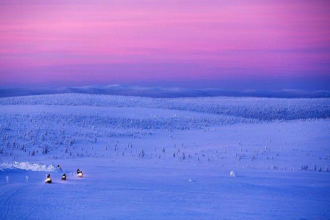 Snowmobile and Ice Fishing Experience - Snowmobile Through the Lappish Forest: Speed, Time, and Track Reality
