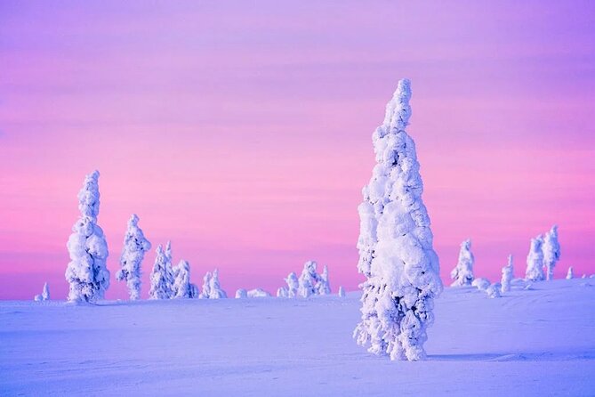 Snowmobile and Ice Fishing Experience - Value for $240.15: What You’re Paying For (and What You Get)