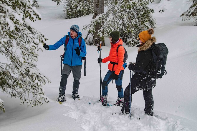 Snowshoeing Adventure with Ice-Fishing, Fire and Survival - What the 4-hour format feels like in real time