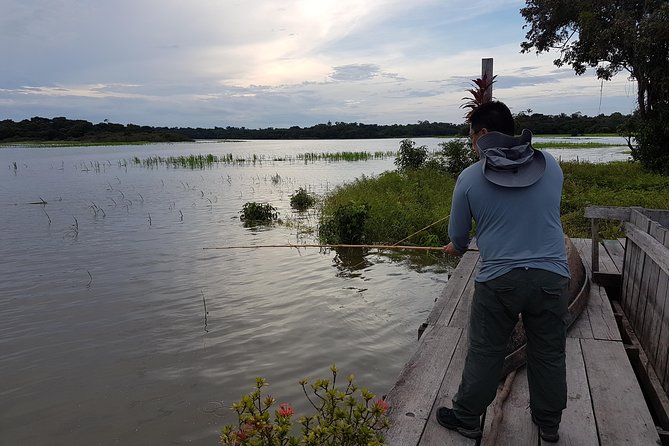 Solimoes River Piranha Fishing and Alligator Watching Tour - Piranha fishing at dusk: what to expect and how to maximize your odds