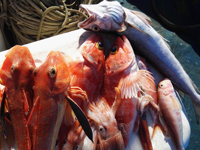 Sorrento: Sea-Fishing Tour with Lunch Onboard - Price and value: what you’re really paying for at $185.79