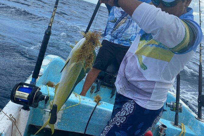Sport Fishing in Tulum - Pro tackle and bait are included, so you can fish like a serious angler