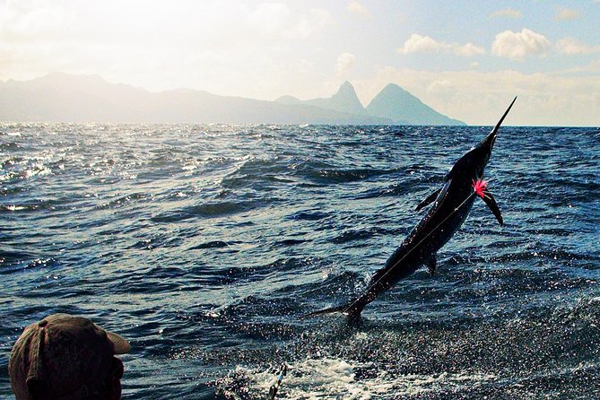 St Lucia Sport Fishing Tour - Bertram Boats and Tournament Gear: Why It’s More Than a “Fishing Trip”