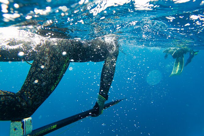 Sub Fishing And Snorkeling In The Waters Of Capri - Capri by sunrise: why this trip feels different