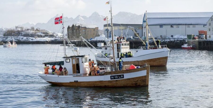 Svolvær: Fishing Trip on the Lofoten Sea - Key points to know before you go