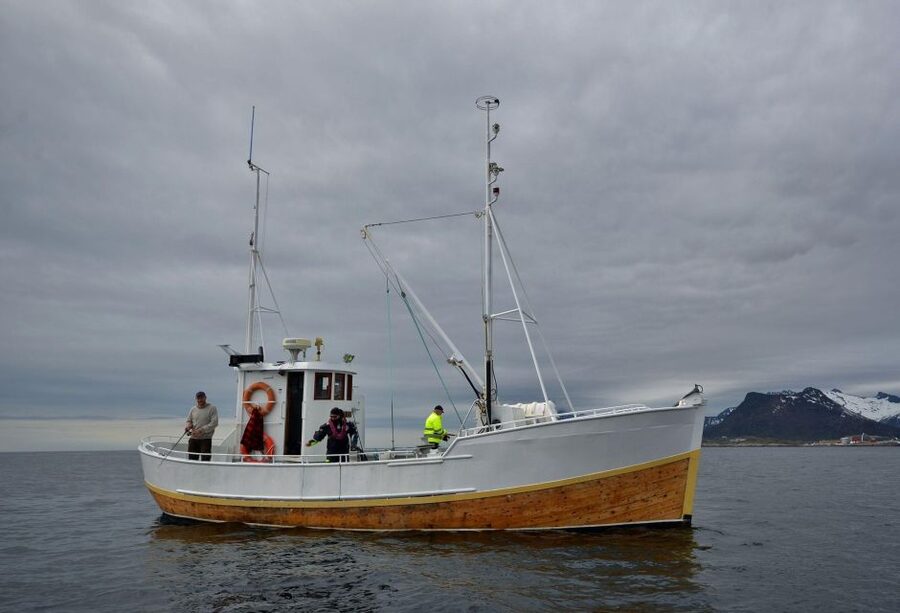Svolvær: Fishing Trip on the Lofoten Sea - Meeting at Torget in Svolvær and stepping onto MS Luna