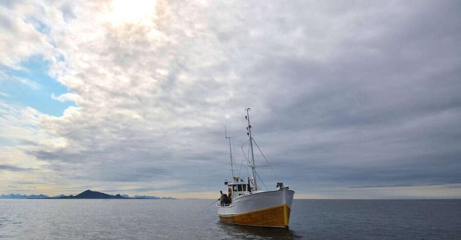 Svolvær: Fishing Trip on the Lofoten Sea - The 3-hour rhythm: briefing, fishing, and taking in the Lofoten views