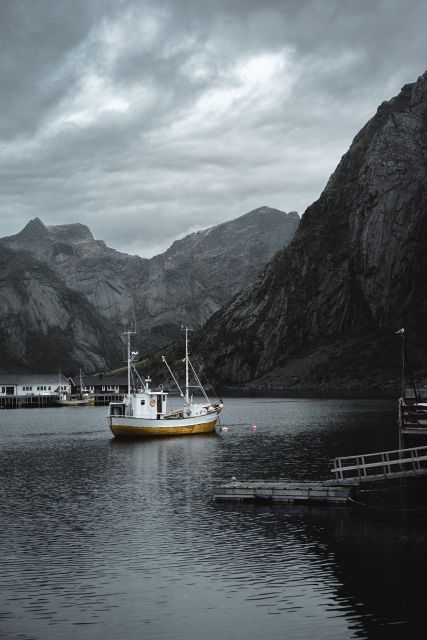 Svolvær: Fishing Trip on the Lofoten Sea - Taking your catch home: turning fish into dinner without a headache