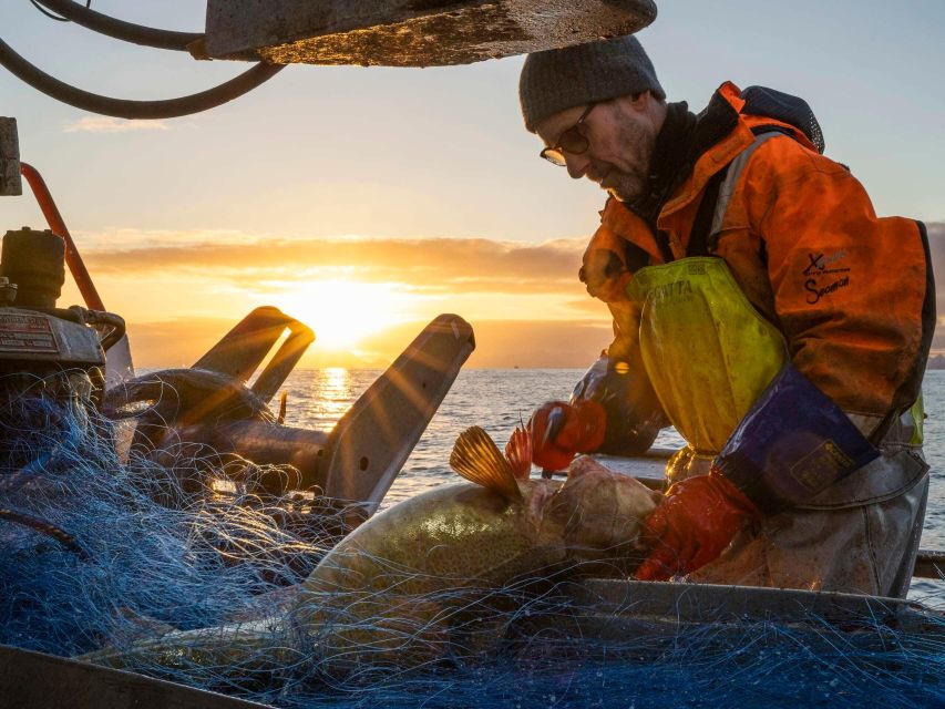 Svolvær: Fishing Trip on the Lofoten Sea - Coffee and timing: why the lack of a meal isn’t always a deal-breaker