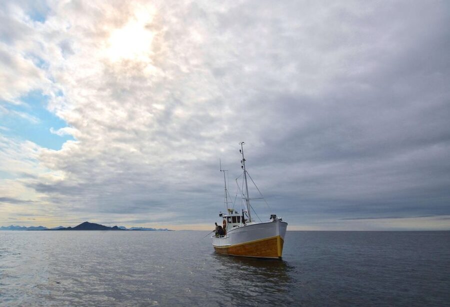 Svolvær: Fishing Trip on the Lofoten Sea - How the fishing lesson works when you’ve never fished before