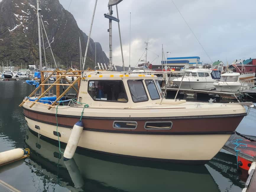 Svolvaer: Fishing Trips with a personal touch - Where You’ll Fish: Austnesfjord, Hola, Skrova, Henningsvær, and Trollfjord