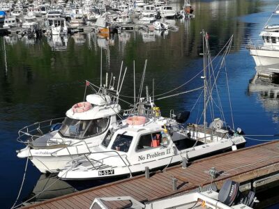 Svolvaer: Fishing Trips with a personal touch - The 4 Hours on the Water: Birds, Lines, and Real Sea Air