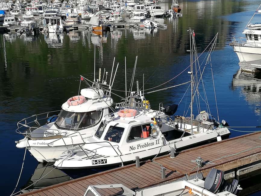 Svolvaer: Fishing Trips with a personal touch - The 4 Hours on the Water: Birds, Lines, and Real Sea Air