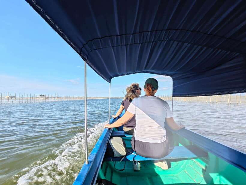 Tam Giang Lagoon & Boat Day Trip with Fishing Experience - Ru Cha Mangrove Forest and the Tower Over Tam Giang