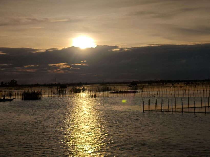 Tam Giang Lagoon & Boat Day Trip with Fishing Experience - Be a Fisherman on the Lagoon: Nets, Rowing, and Stomping